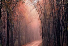 天博体育:前英格蘭前鋒直言:拉什福德被高估.